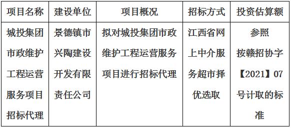 城投集团市政维护工程运营服务项目招标代理计划公告