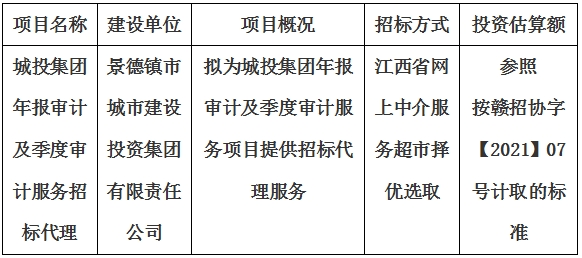 城投集团年报审计及季度审计服务招标代理计划公告