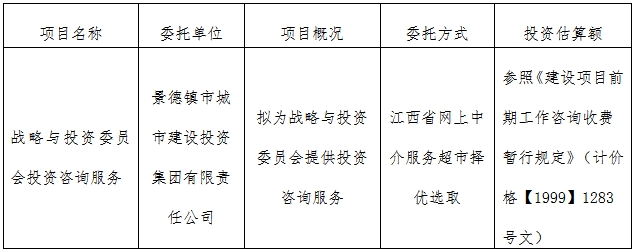 战略与投资委员会投资咨询服务计划公告