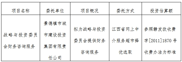 战略与投资委员会财务咨询服务计划公告