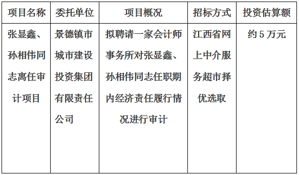 张显鑫、孙相伟同志离任审计项目计划公告