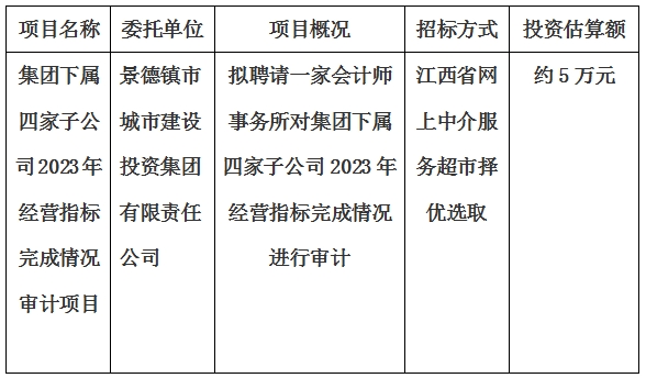 集团下属四家子公司2023年经营指标完成情况审计项目计划公告