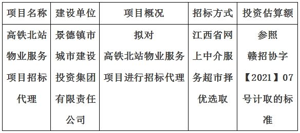 高铁北站物业服务项目招标代理计划公告