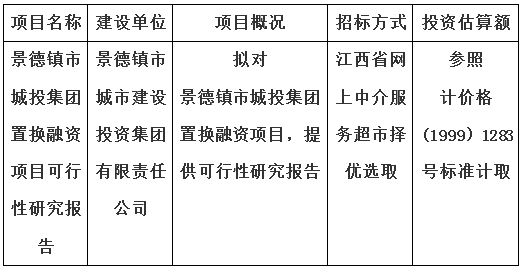 景德镇市城投集团置换融资项目可行性研究报告计划公告