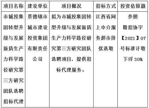 市城投集团转型升级与发展新质生产力科学路径研究第三方研究团队选聘招标代理计划公告