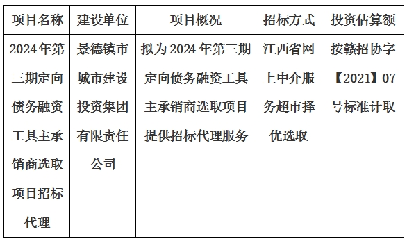 2024年第三期定向债务融资工具主承销商选取项目招标代理计划公告