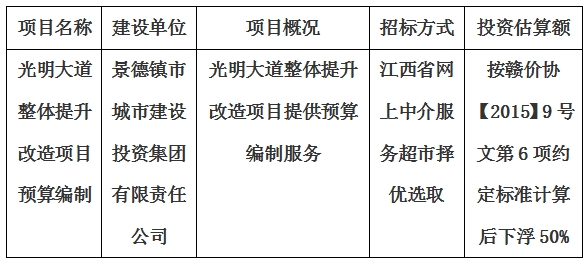 光明大道整体提升改造项目预算编制计划公告