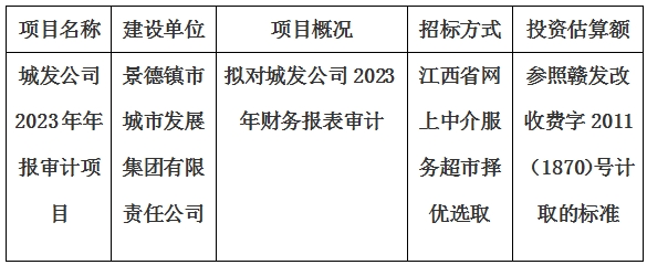 城发公司2023年年报审计项目计划公告