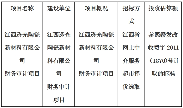 江西透光陶瓷新材料有限公司财务审计项目财务审计项目计划公告