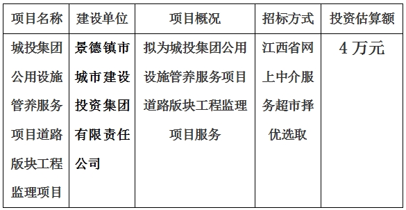 城投集团公用设施管养服务项目道路版块工程监理项目计划公告