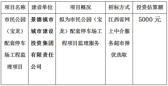 市民公园（宝龙）配套停车场工程监理项目计划公告