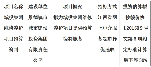 城投集团维修养护项目预算编制计划公告